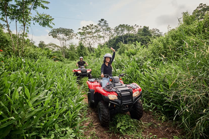 ATV en la naturaleza